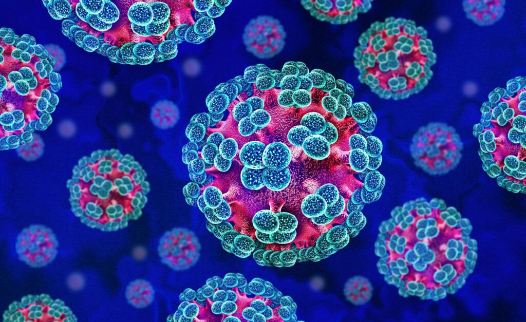 CDC Ends Hantavirus Emergency Response After Deadly Cruise Ship Outbreak