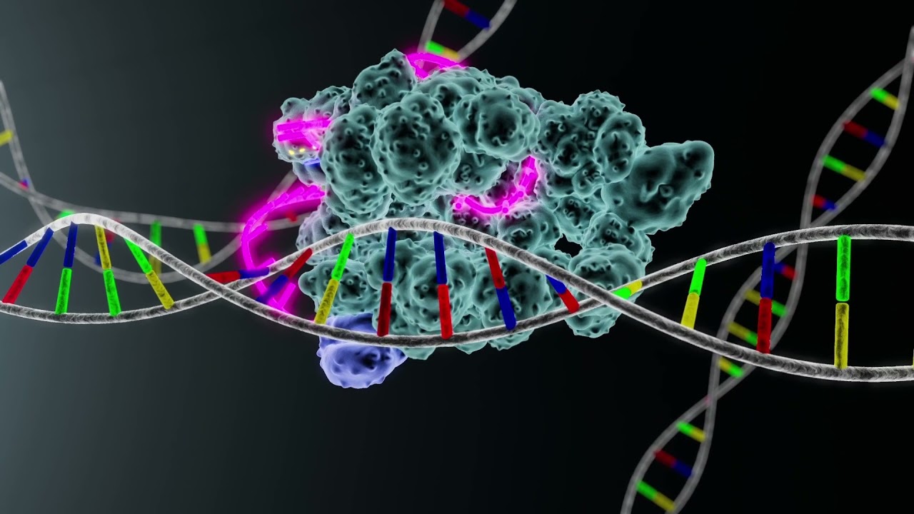 One CRISPR Infusion Cuts Dangerous Cholesterol for a Year in Early Human Trial