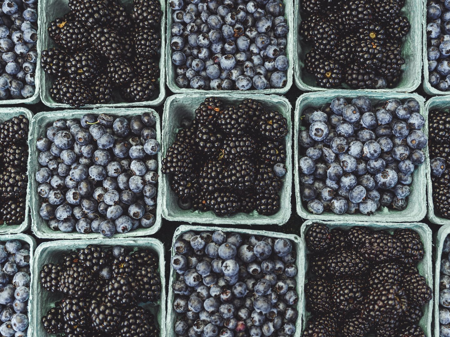 Driscoll’s Helped Create China’s Blueberry Boom—Then Local Rivals Turned Its Success Against It 
